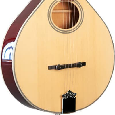 Gold Tone Banjola+ w/ Scoop – Telluride Music Co.