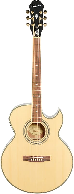 Epiphone エレアコPR-5E/N純正ケースその他諸々付き