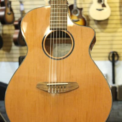 Breedlove Discovery S Concert Nylon CE Natural image 1