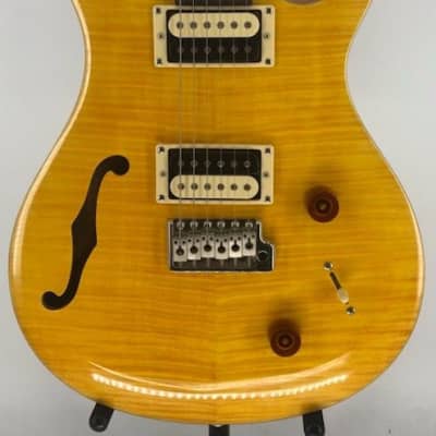 Paul Reed Smith PRS SE Custom 22 Semi Hollow Body Electric Guitar Ser# D07220 image 1