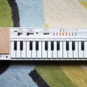 Casio PT-1 Mini Synthesizer, Ready to Bend!