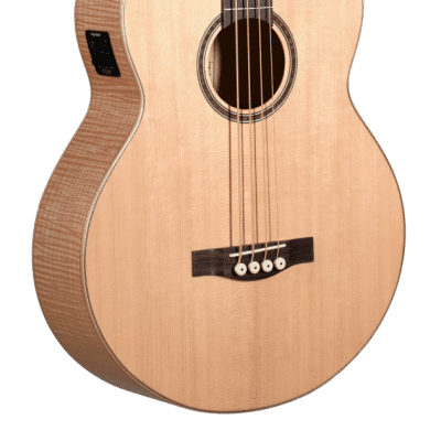 Teton STB130FMCENT Acoustic-Electric Bass, Solid Sitka Spruce Top image 11