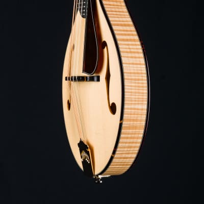 Collings MT2 Blonde Italian Spruce and Flamed Maple Mandolin with Pickguard NEW image 13