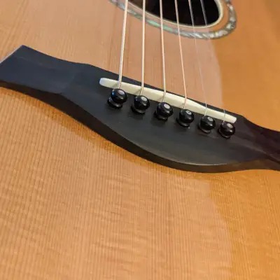 Taylor W15/915 Jumbo Acoustic Guitar Bild 5