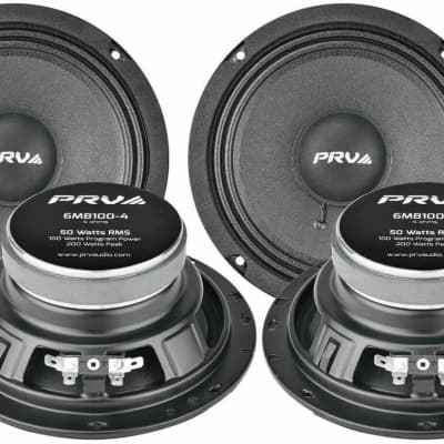 P audio 12 inch store 100 watt speaker price