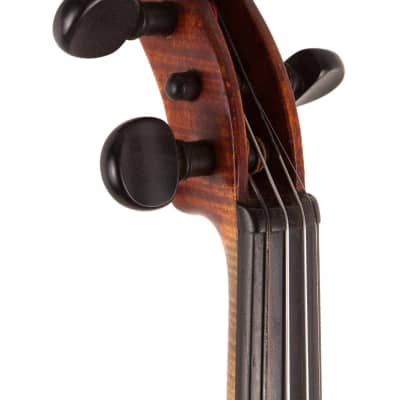 D'Angelico Violin 1927 image 3