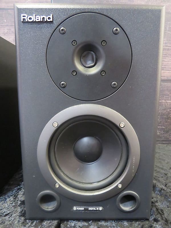 Roland DS-50A Studio Monitor(Pair) (Raleigh, NC)