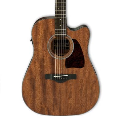 Ibanez Artwood AG-600E Acoustic/Electric Guitar | Reverb