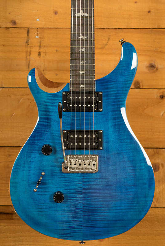 PRS SE Custom | SE Custom 24 