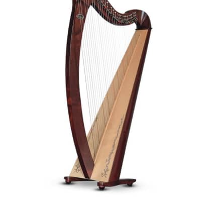 Salvi Donegal Lever Harp Mahogany for sale