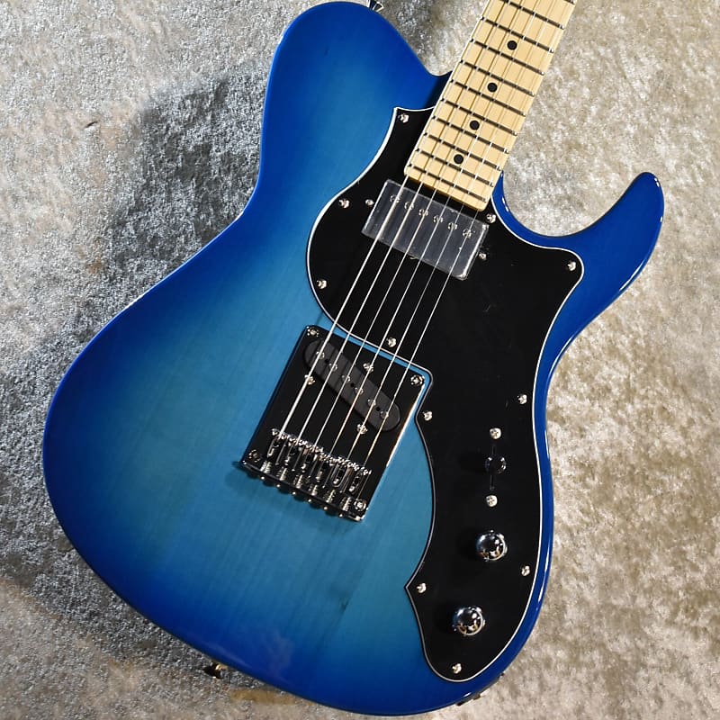 Fujigen/FGN BIL2-M-HS-TBS 2022 Transparent Blue Sunburst 3.78kg  #J220508［Made In Japan］［YK012］