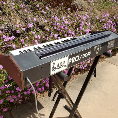 ARP Pro/DGX Mk I (Pro Soloist) Synthesizer Pro Serviced image 9