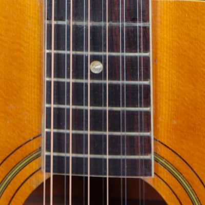 Harmony H1270 Sovereign / 1970 / Stunning! image 4