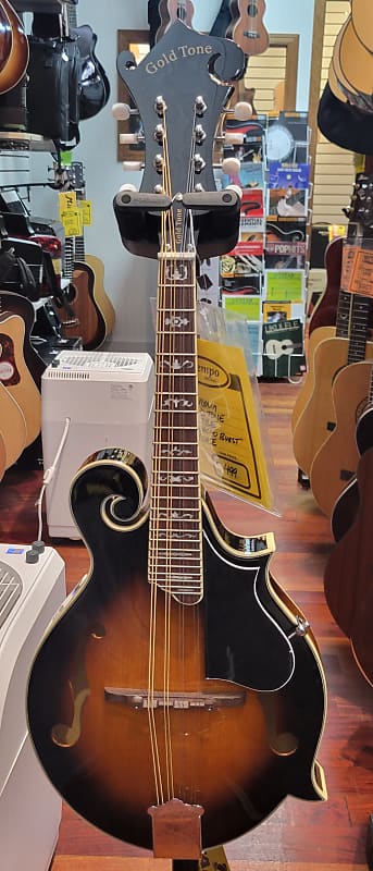 Gold Tone GM-35 F Style Mandolin with case - Tobacco Sunburst image 1