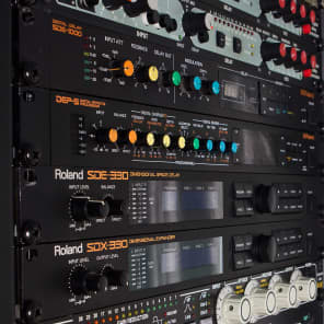 Roland DEP-5 Stereo non-linear Reverb Chorus Delay Rackmount