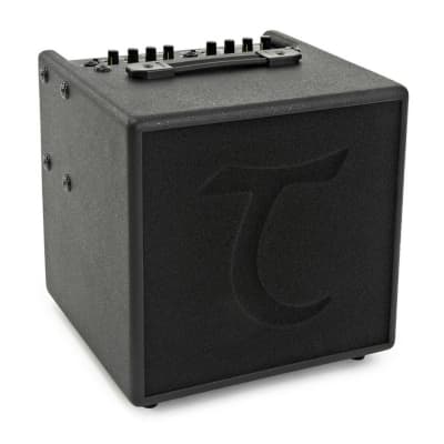 Tanglewood T6 Acoustic Amp for sale