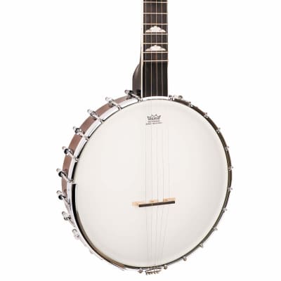 Gold Tone Mastertone™ WL-250: White Ladye Banjo with Case image 12