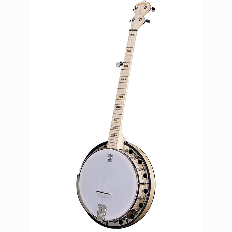 Deering Goodtime 2 5-String Banjo With Resonate image 1