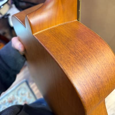 Carlo Robelli CSXMINIXX 3/4 Travel Size Acoustic Guitar image 17