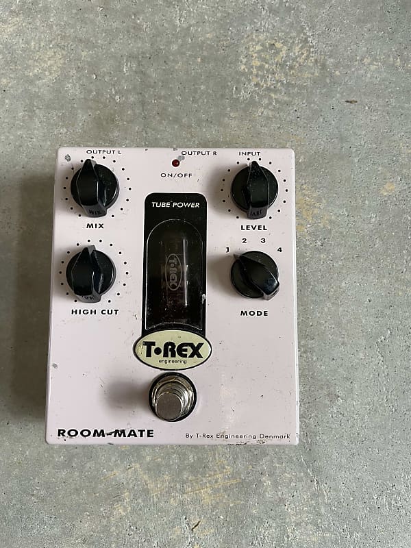 T-Rex Room-Mate