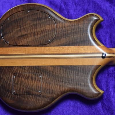 Alembic Stanley Clarke "Brown Bass", Walnut Top/Back with Ebony *Green LED's image 7