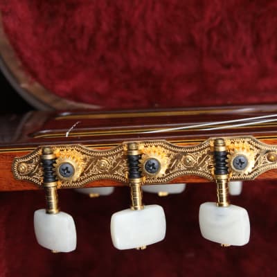 Yamaha GCX-31C - Natural | Reverb