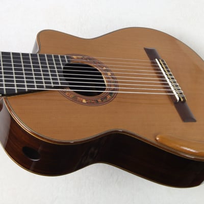 RARE Lucio Nuñez 10-String Classical Harp Guitar w/Cutaway, Arm Rest, Sound Port, Cedar/Cocobolo, TKL Hardshell Case image 18