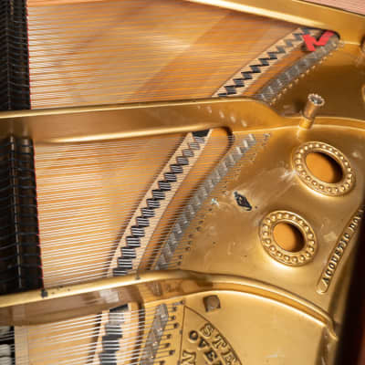 Steinway & Sons 6' 2" Model A Grand Piano | Satin Dark Walnut | SN: 53467 image 5