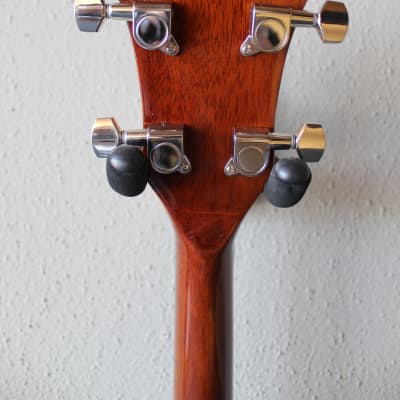 Brand New Rover RB-20 Open Back 5 String Banjo with Gig Bag image 6
