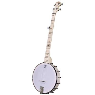 Deering Goodtime Openback 5-String Banjo for sale