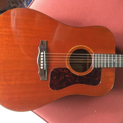Guild D-25 1972 Mahogony guitar with tags image 4