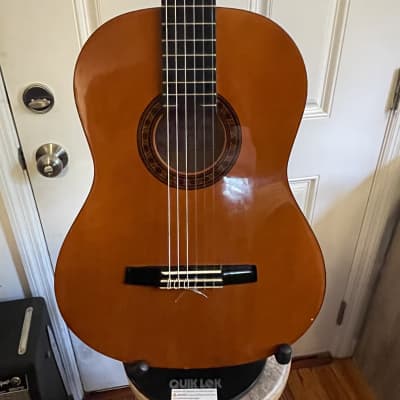 Valencia CG-160 Full-Size (4/4) Student Classical Guitar w/Gig Bag - Spruce image 1