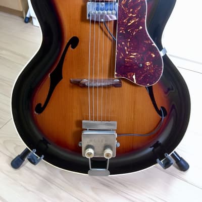Roger Model 50E Cutaway c1955 Sunburst with 1950s tolex cover and photo copy brochure New Price Drop image 2