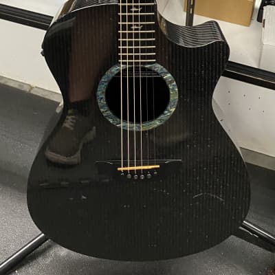 RainSong OM1000NZ アコースティックギター RainSong OM1000NZ アコースティックギター（Rainsong OM1000