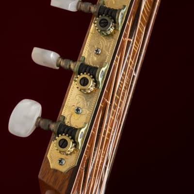 1981 Sergei de Jonge 10 String Classical Guitar - Brazilian Rosewood, Luthier Letter of Appraisal image 16