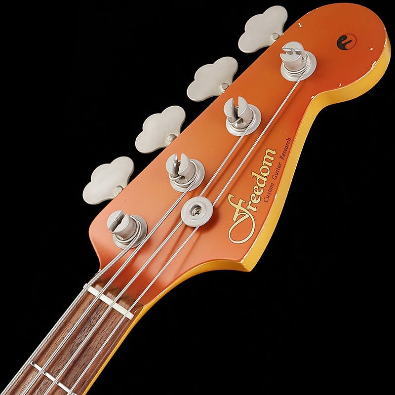 Freedom Custom Guitar Research Semi-order 2008 Antique Ltd