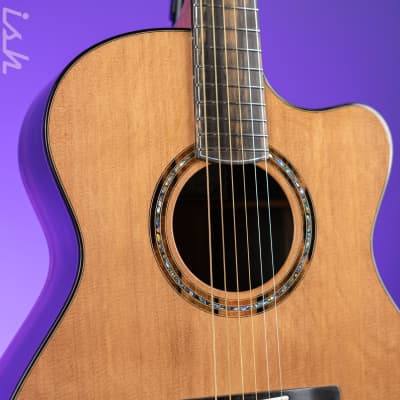 PRS Private Stock Angelus Cutaway Cedar Top Exotic Ebony Back Acoustic Guitar image 4