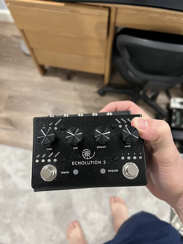 Pigtronix Echolution 3