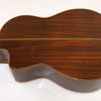 Bartolex SLC10CEL Classical 10-String Harp Guitar, w/Pickup, Cutaway, Sound Port, w/Softshell Case image 2