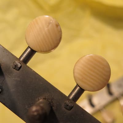 vintage 1800's early 1900's vintage mandolin tuners striped catalin/bone/ivory buttons image 1