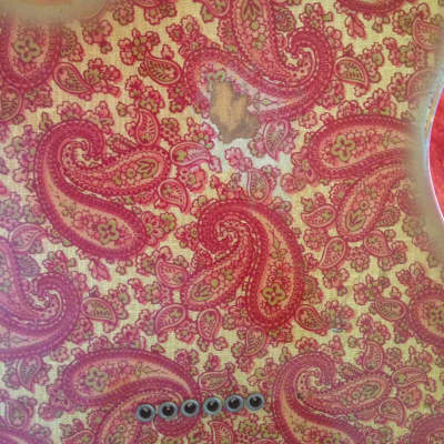 Fender Telecaster 1968 Paisley image 3