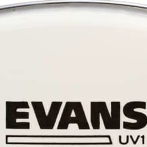 Evans UV1 Coated Drumhead - 15 inch image 2