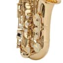 Pre-Owned Prelude by Conn-Selmer AS711 Student Model Alto Saxophone