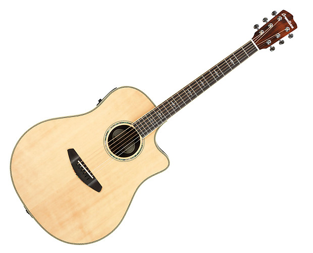 Breedlove stage dreadnought new arrivals
