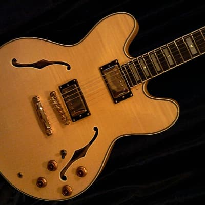 KARERA 335-Style Semi-Hollow Body Electric Guitar *BEAUTIFUL with WARM-TONE & *FREE Hard-Shell Case!!! image 11
