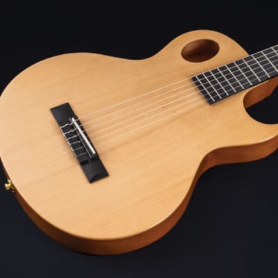 Washburn EACT42S | Festival Series Acoustic-Electric Classical Guitar. New with Full Warranty! image 5