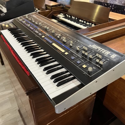 Roland Jupiter 6 61-Key Synthesizer | Reverb