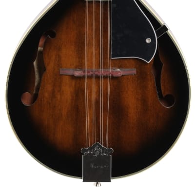 Ibanez M510 A Style Mandolin Dark Violin Sunburst image 3