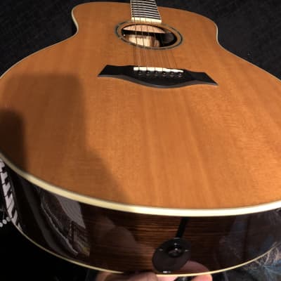 GS8 Taylor Acoustic Guitar 2007 6-string (NEW Photos!!) image 8