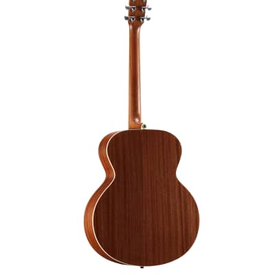 Alvarez ABT60E - Acoustic / Electric Baritone Guitar in Natural  Finish image 5